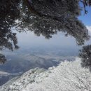 제323회 정기산행 충남 공주 계룡산(845m) 눈꽃 산행(2018. 1. 20) 이미지