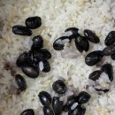 서리농장 | 아들네미 농장 햇서리태 후기