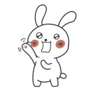 벨라뷰티