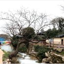 고려공예 Daum카페