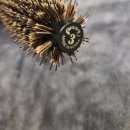 리아1호 | [ 구매후기]드라이롤브러쉬, bb리아미용 주름목 롤빗으로 완성하는 홈케어 스타일링