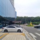 더넥스트크런치 카페