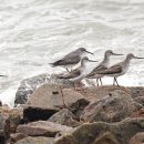 방파제파크 이미지