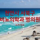 편안한허니연세정형외과의원 이미지