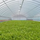 미대동식당 이미지