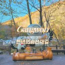 신갈운수(주) | (강원도 여행) 오대산 국립공원 선재길 버스시간표 1~5구간 천년의숲 / 맛집