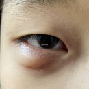 제주현대안과의원 이미지