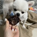 덕비네수제간식 | 이러쿵 저러쿵