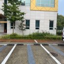 ITS인증성능평가센터 앞인도 | 안산 ITS 인증성능평가센터 관목 전정 및 예초 작업 완료 - 수원조경업체 트리앤플라워