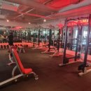 룰루 휘트니스 이미지