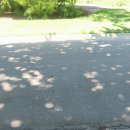 성서도서관 분수대 | 미국 LA여행 PT.7 헌팅턴 라이브러리, 사막가든, 호주가든