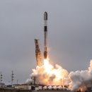 삼성화재앞 인도 이미지