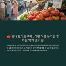 횡성 산들에 청정민박 | 둔내 고랭지 토마토 축제의 매력 속으로🍅