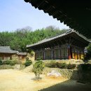 증심사 Daum카페