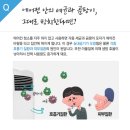 애니크린 이미지