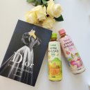 라임시스템즈