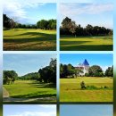 세븐스타 이미지