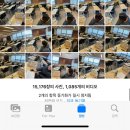 부복농장 | 일상 02