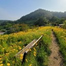 완도군립도서관 네이버블로그