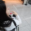 데이데이투어