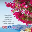 길동무ㅡ사람을 배신하는 짐승 낙타ㅡ 이미지