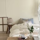 달라(Dalla)뮤직타운 | 요 며칠 근황 (울산 완내스. 고양이 후추 졸귀. 모찌차렵이불 존좋)