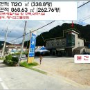 내린천민박 Daum카페