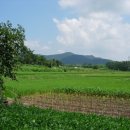 금은당 - 양산시 중앙로 160 | 금은당