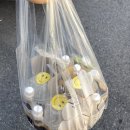 신당동 마약커피