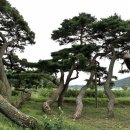 삼산 소공원 이미지