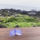샤인빌;카페샤인 | 휴가, 4박 5일 제주도 기록(2) 표선 앞바다, 표선 카페 (표선 헤비치 불턱), 표선 해수욕장, 대명 샤인...