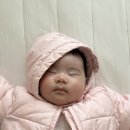 거부네집 | 71일~90일 육아일기 (젖병거부 인격수유 후기)