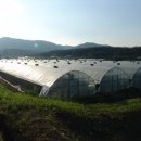 조성호농장 이미지