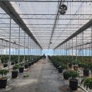 임차랑농장 이미지