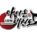 아이온태권도 이미지