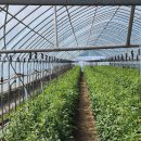 명월농장 이미지