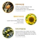 핑거워시 | '그린핑거' 촉촉한 자연보습 베이비 바디워시 - 솔직후기