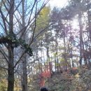 한화리조트 ㈜백암 | 울진 LG생활연수원 조깅 산책 백암산 등산코스 후기