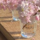 호야치킨 이미지