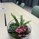 부산 단체수업 출강 전문 연산동 꽃집 ‘꽃그리고’ | 연제 청년 테라리움 출강 후기