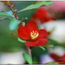 대천농장 이미지