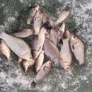 양촌소류지 이미지