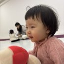 끼끼마다 | 플레이풀 역북점 리틀킹콩 겨울학기 나는야 끼끼 원숭이 후기