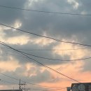 원할머니보쌈족발전남보성점