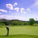 지존골프(Gzonegolf) 이미지