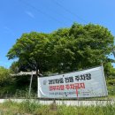 3917마중