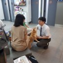 성지동물병원 이미지