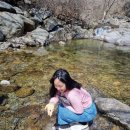 지리산옻닭흑돼지 이미지