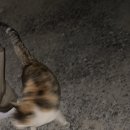 다온축산 이미지