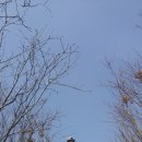 CB014 이미지